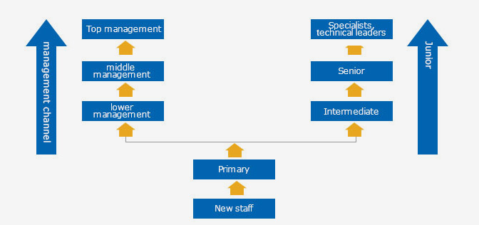 Employee Growth