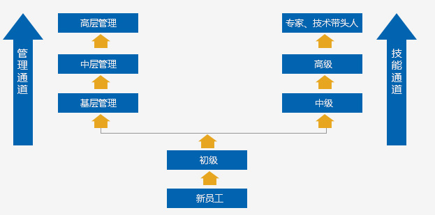 员工成长